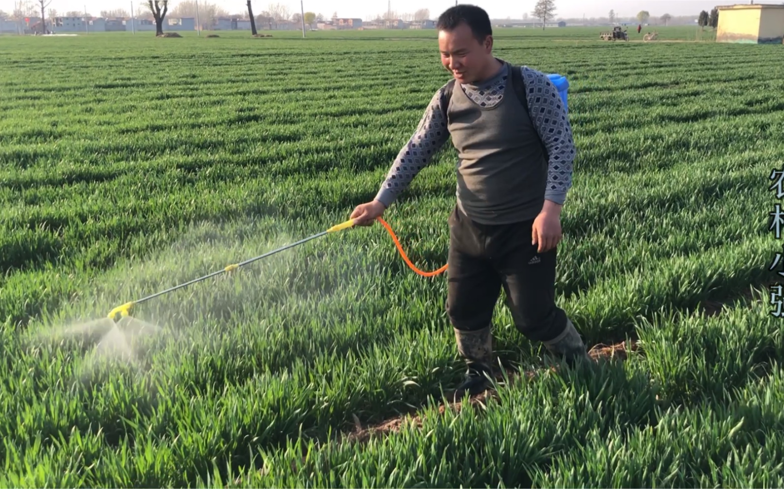 现你们哪里也都打农药吗?_哔哩哔哩_bilibili
