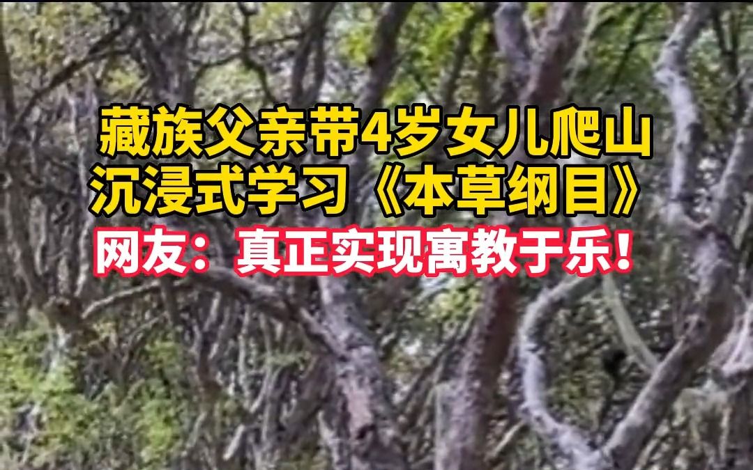 [图]藏族父亲带4岁女儿沉浸式学习《本草纲目》