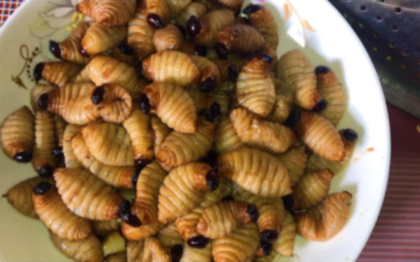竹虫，高端食材，看了流口水