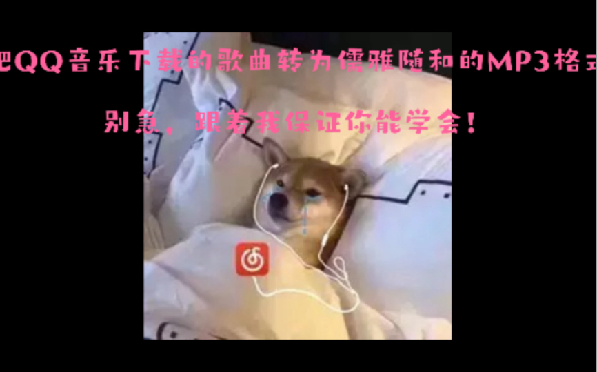 我来教你如何优雅的把QQ音乐下载的歌曲格式转为mp3!!!哔哩哔哩bilibili