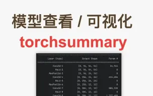 Download Video: 模型查看 - 1、torchsummary