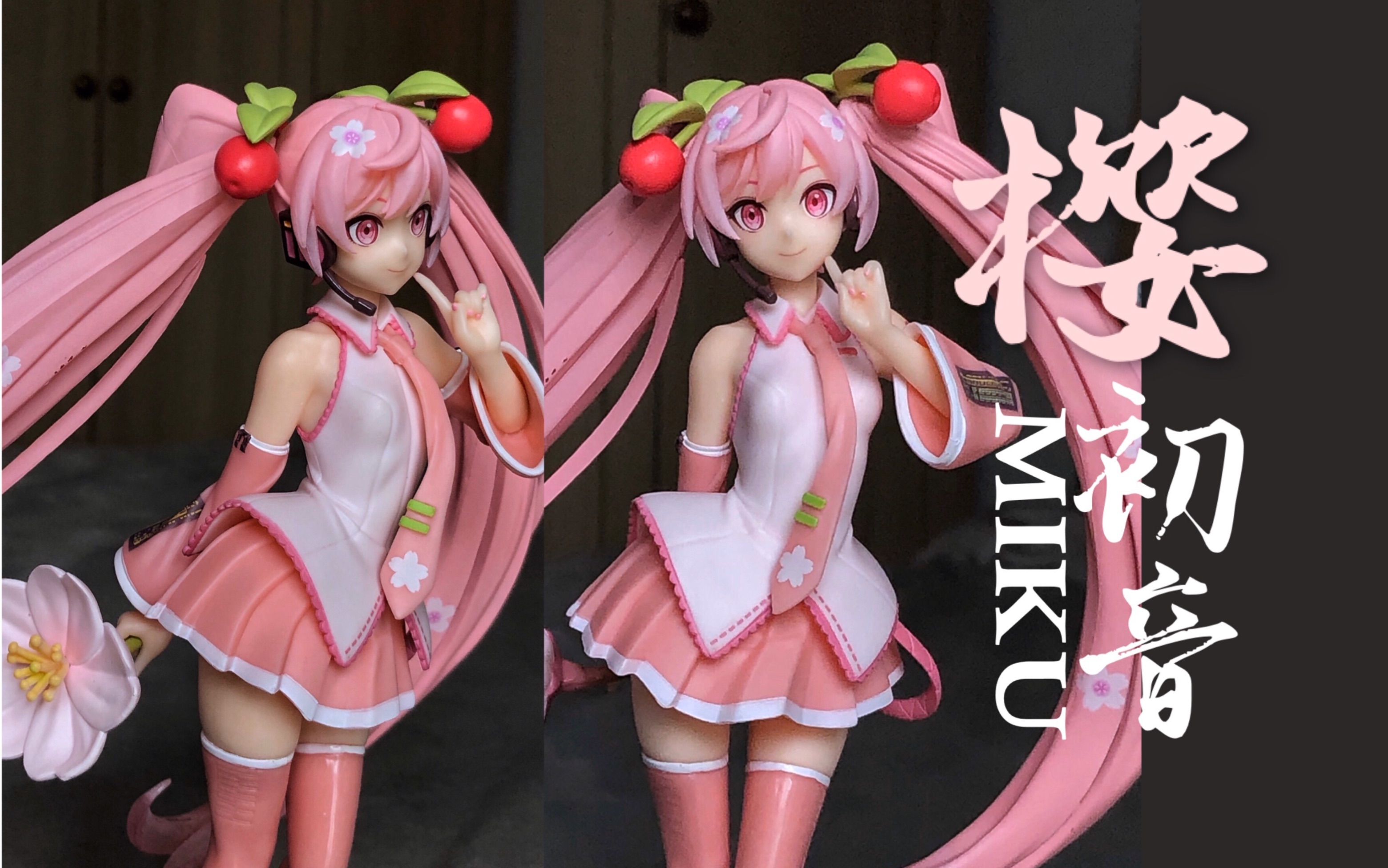 taito2021樱初音景品手办开箱