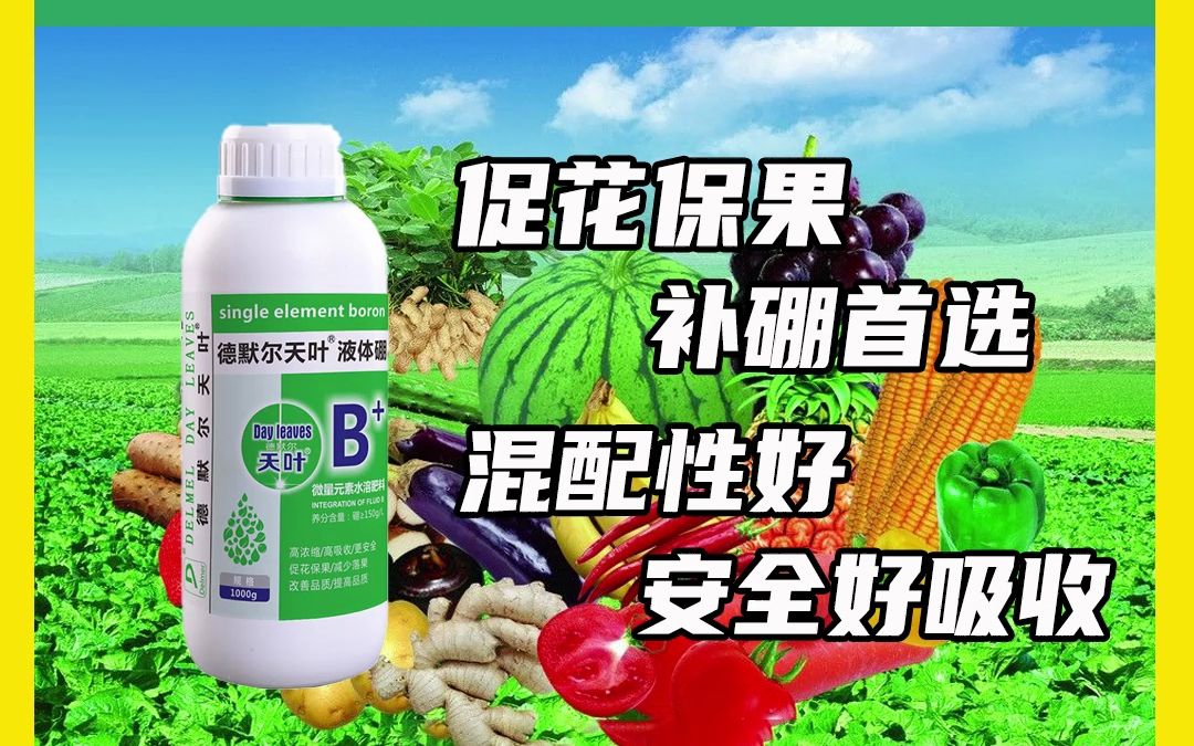 保花保果液体硼