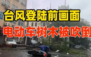 Télécharger la video: 台风登陆湛江前！电动车树木被吹倒，与2015年“彩虹”路径相似