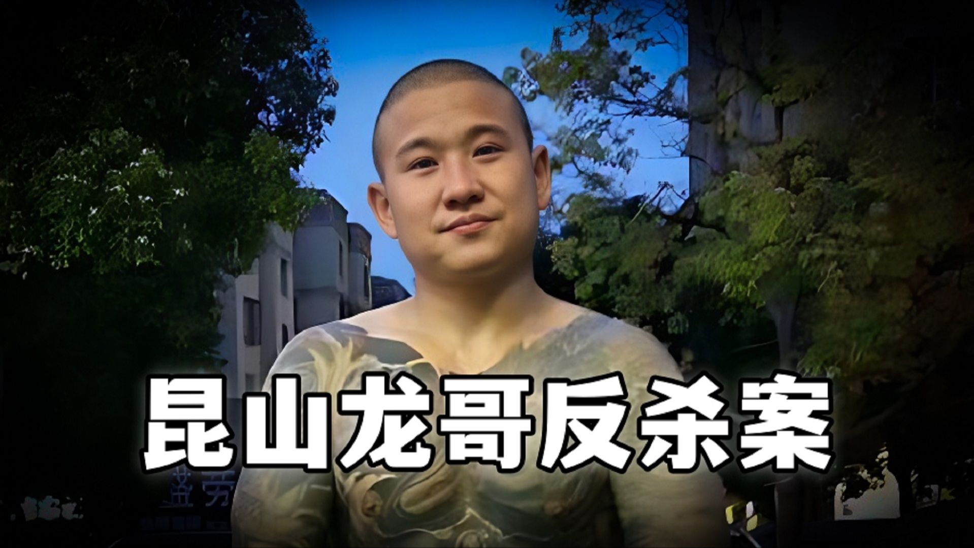 中国刑侦史上最著名的反杀案,昆山龙哥反杀案