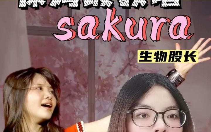 《sakura》哔哩哔哩bilibili