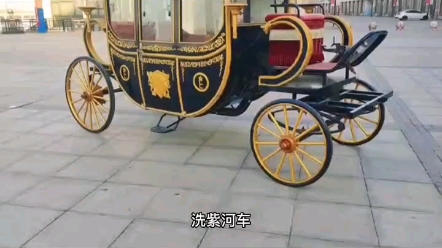 《紫河车》哔哩哔哩bilibili