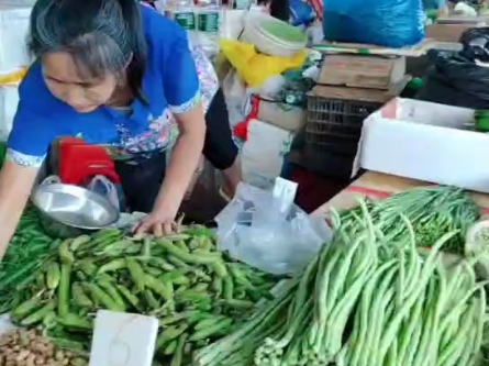 周末上课的学生有口福啦!老师正在番禺清河市场:购买生花生回校,马上煮给同学们偿鲜啦![强]哔哩哔哩bilibili