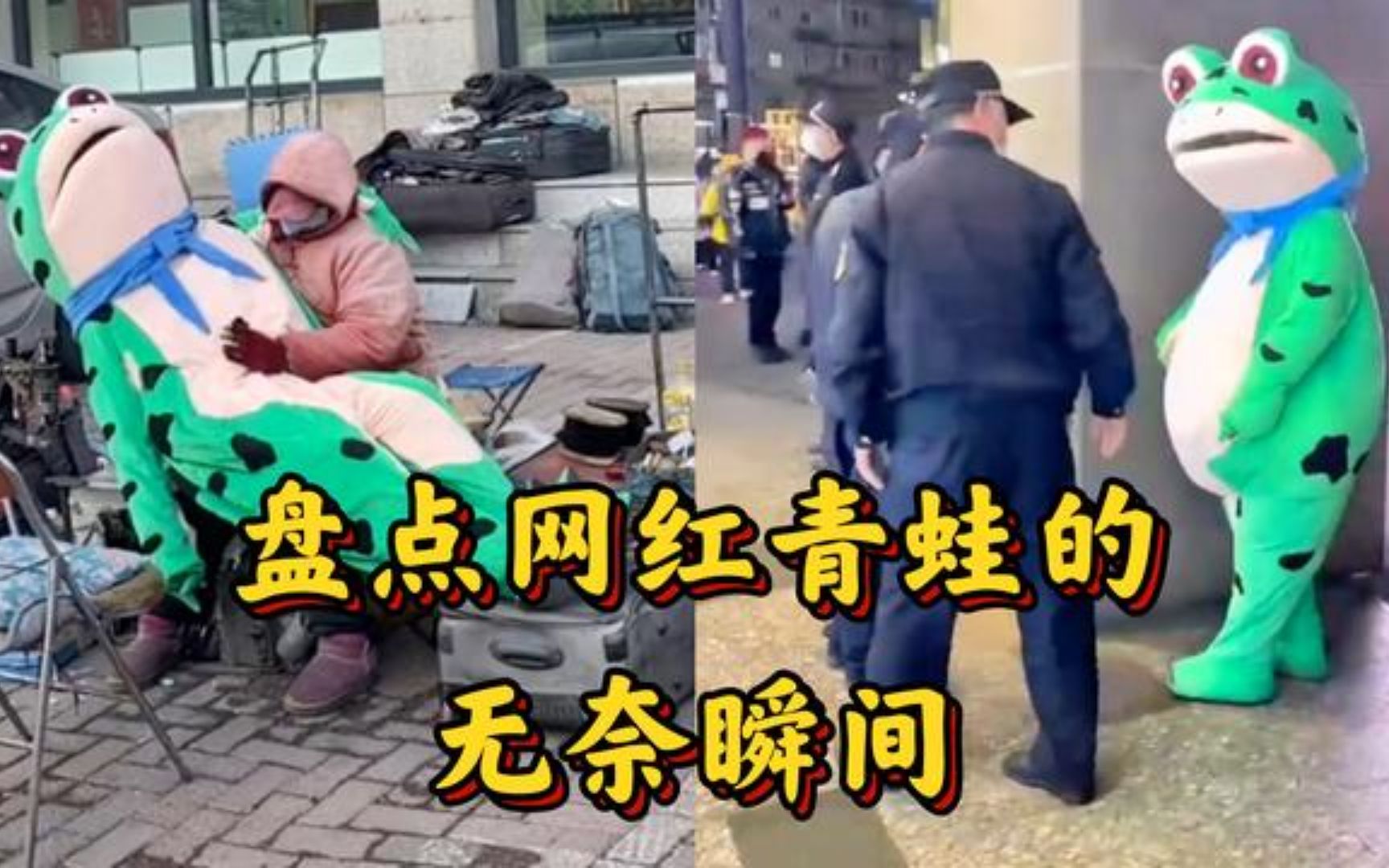 [图]盘点网红青蛙的无奈瞬间，生活不易青蛙卖艺，我们都在用力的活着