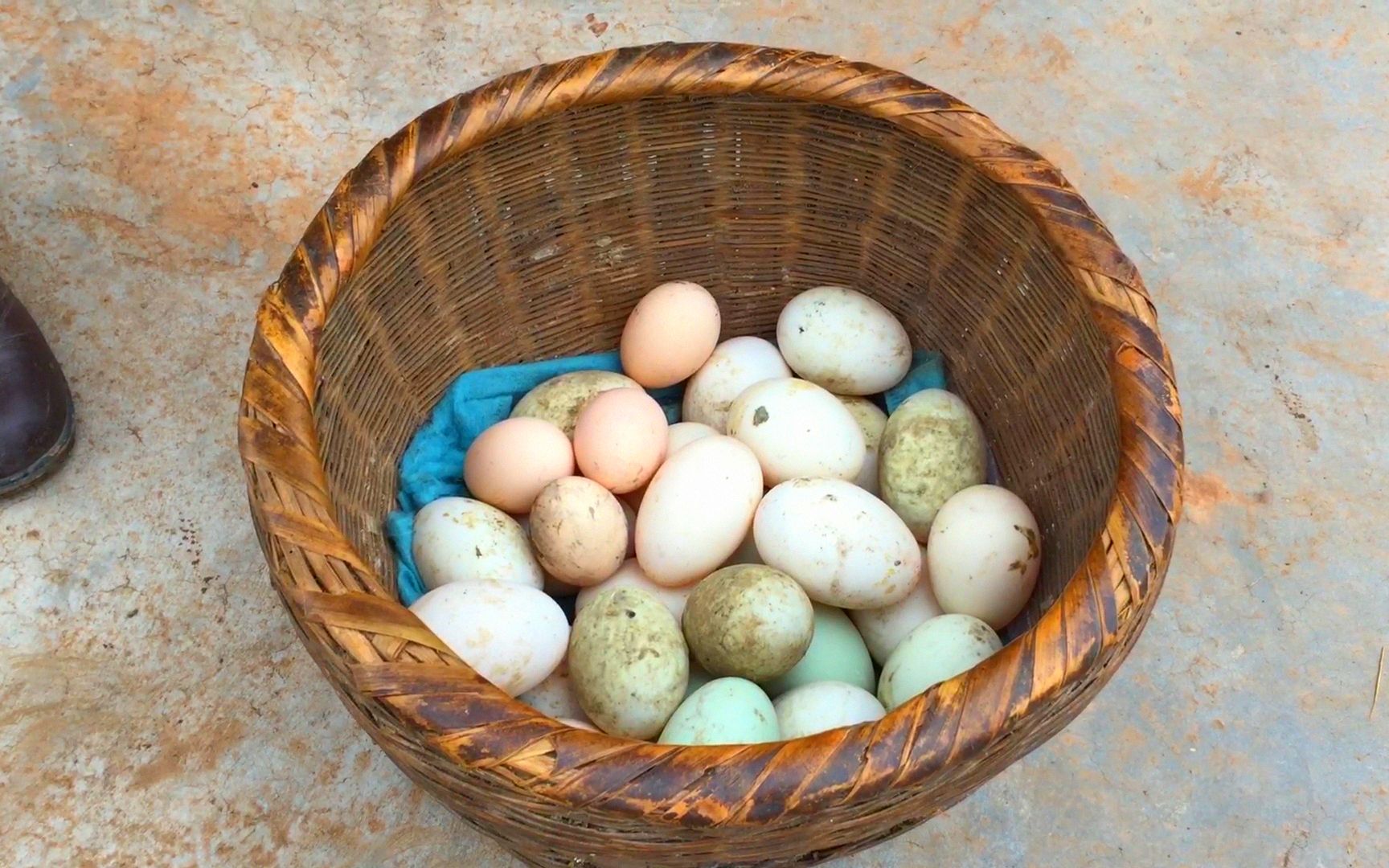 农村老人养鸡鸭下蛋舍不得吃,攒几十个赶场去卖,这才是真正土货_哔哩