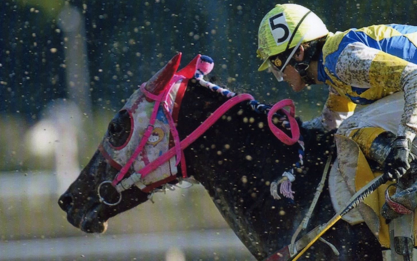 【首发/生肉】2005年赛马「乌拉拉」主题电影 ハルウララ(中文译名