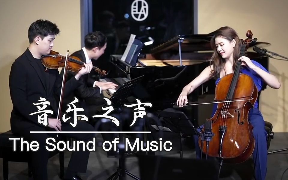 重回电影《音乐之声》:触动人心的插曲演奏 The Sound of Music哔哩哔哩bilibili