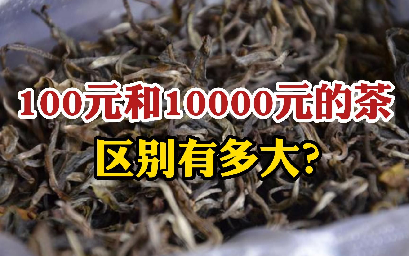 云南普洱茶多少钱一斤?100元和10000万元的,区别到底有多大
