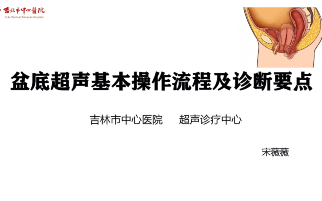 盆底超声基本操作流程及诊断要点 宋薇薇哔哩哔哩bilibili