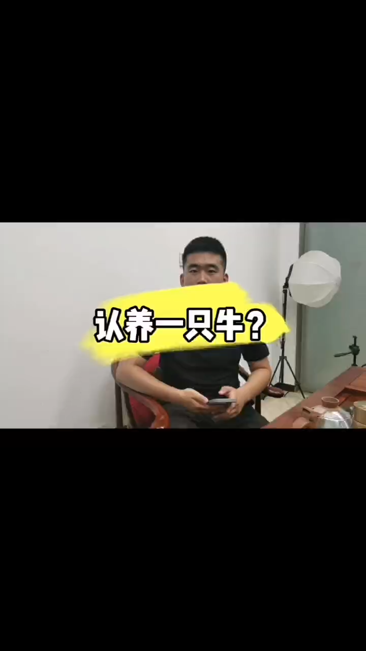 认养模式怎么玩?哔哩哔哩bilibili