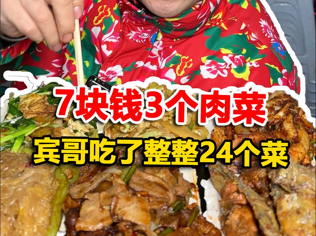 7块钱3个肉菜,宾哥吃了整整24个菜#美食 #自助盒饭 #东北哔哩哔哩bilibili