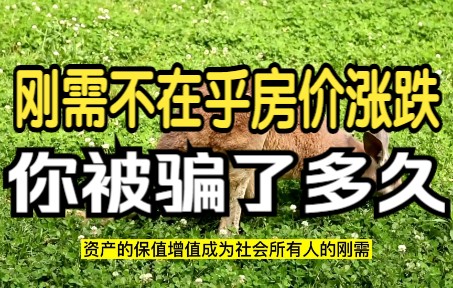 【怼爷】“刚需不在乎房价涨跌”就是伪命题,你被骗了吗?哔哩哔哩bilibili