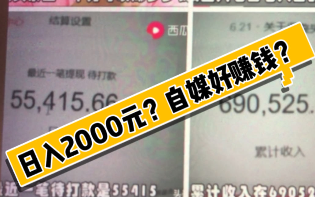 自媒体大佬1天收益2000元,小佬透露自己收益,好不好?网友:傻不傻?哔哩哔哩bilibili