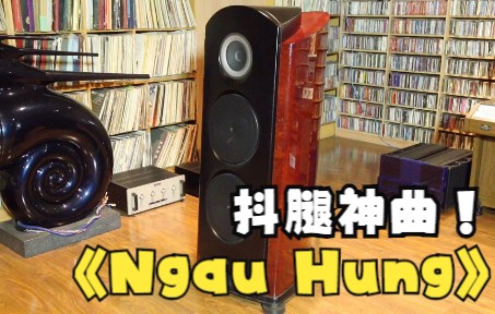 [图]日本音箱【TAD】聆听节奏带感歌曲《 Ngau Hung》抖腿神曲