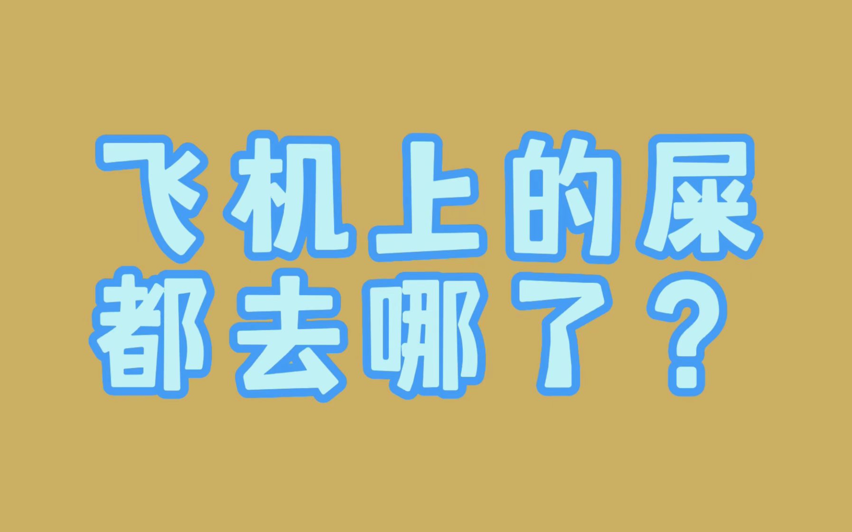 [图]飞机上的屎哪去了？你想不到。。