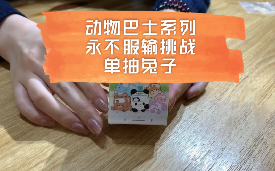 【永不服输】动物巴士盲盒到底能不能毕业?