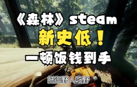 《森林》steam新史低!还没找儿子的赶紧放下木头去找了!网络游戏热门视频