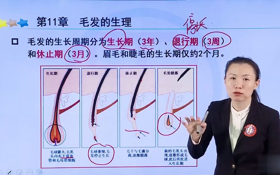 2023年皮肤与性病主治医师考试视频全套无忧通关 毛发的生理哔哩哔哩bilibili