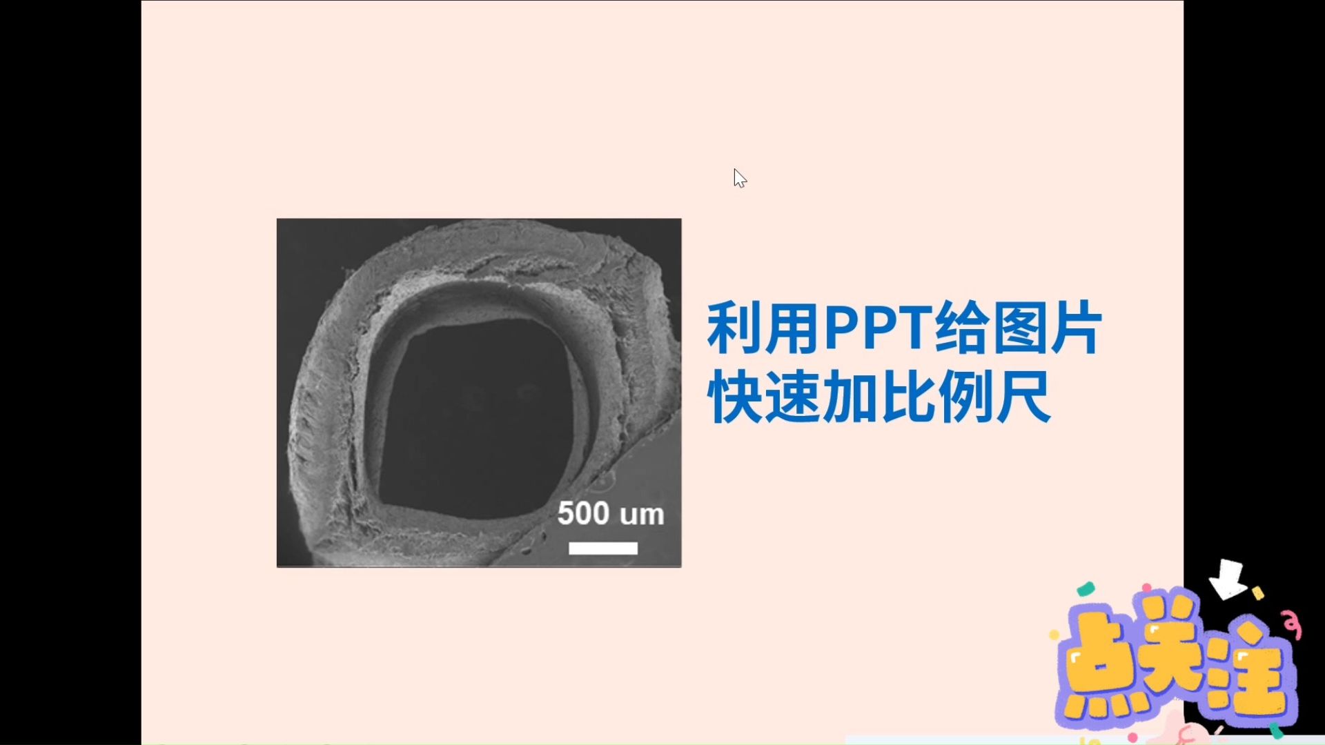 085. 用PPT快速给图片添加比例尺哔哩哔哩bilibili