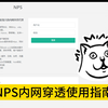 一键实现内网穿透：NPS内网穿透工具的完整使用指南_哔哩哔哩_bilibili