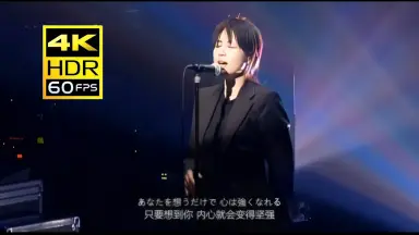 カップヌードル レッドゾーン 蓋 ZARD 坂井泉 Amazon.co.jp: カップヌードル レッドゾーン 蓋 ZARD 坂井泉