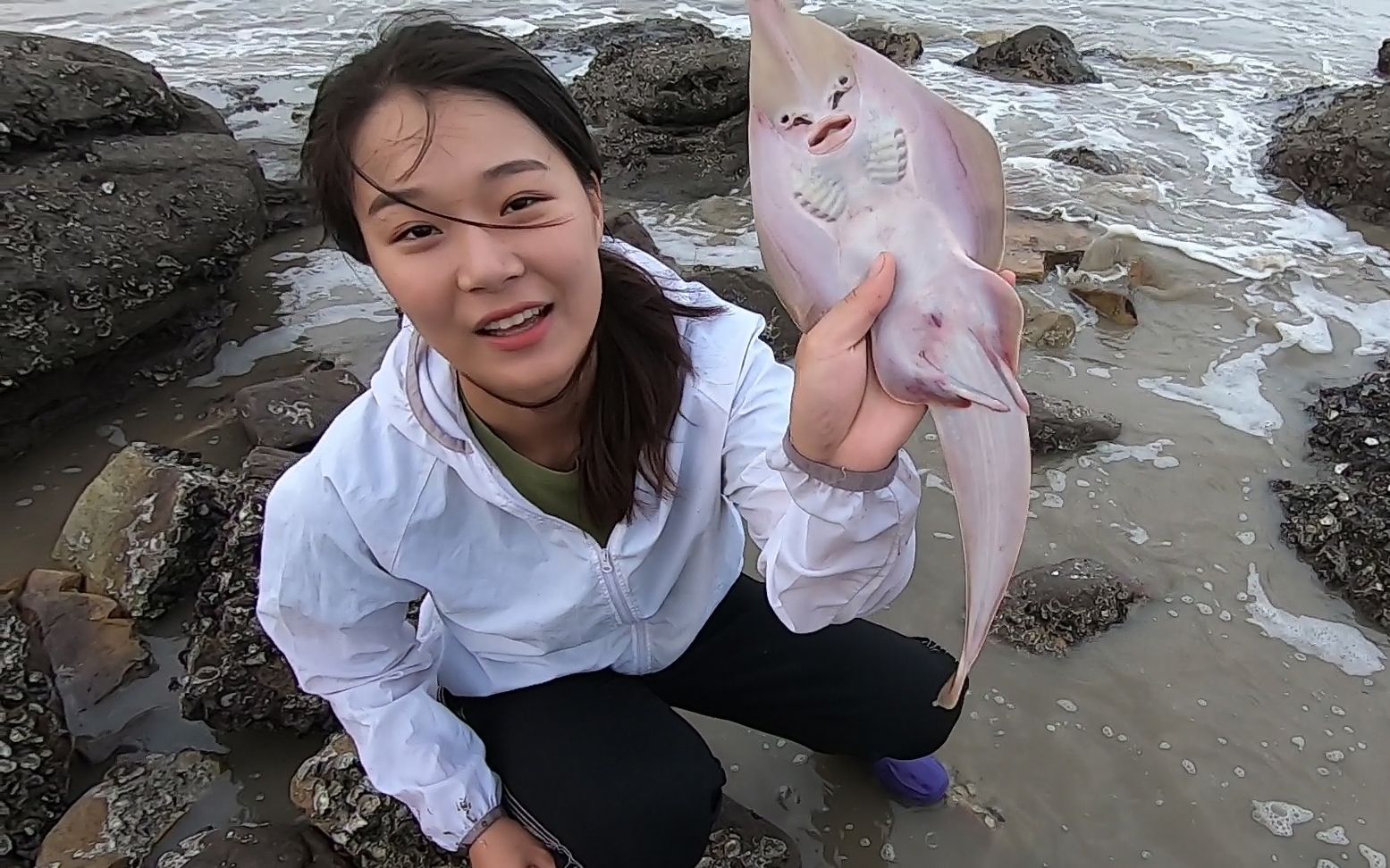 皮皮去海岛赶海,在水里摸出大堆"魔鬼海鲜",今天的全是猛货