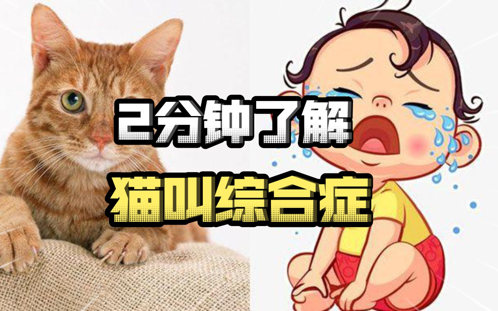 2分钟了解猫叫综合症哔哩哔哩bilibili