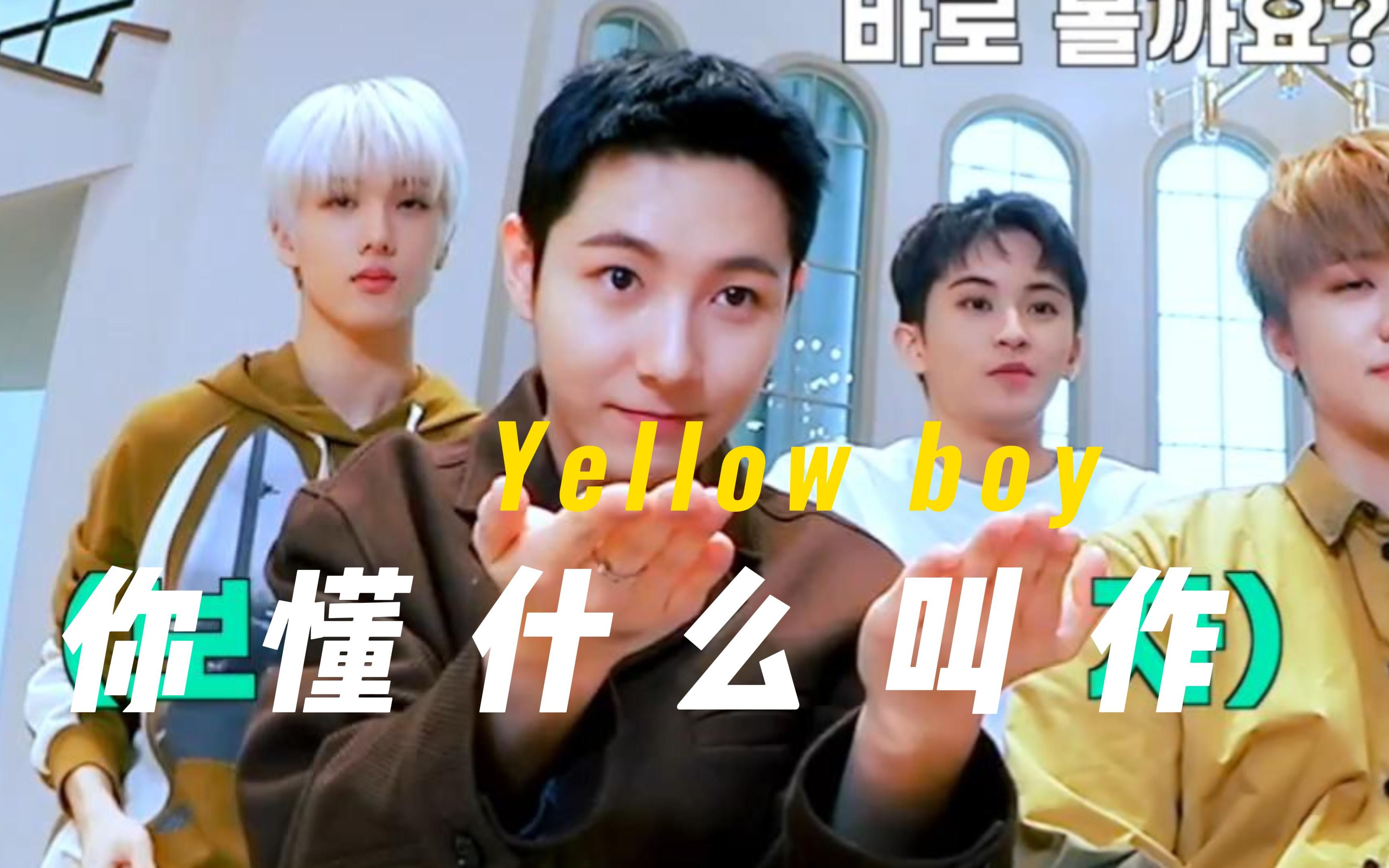 你懂什么叫做yellow boy!夸还是你们地租会夸哔哩哔哩bilibili