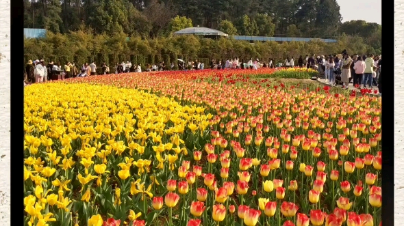 三月#湖南省植物园