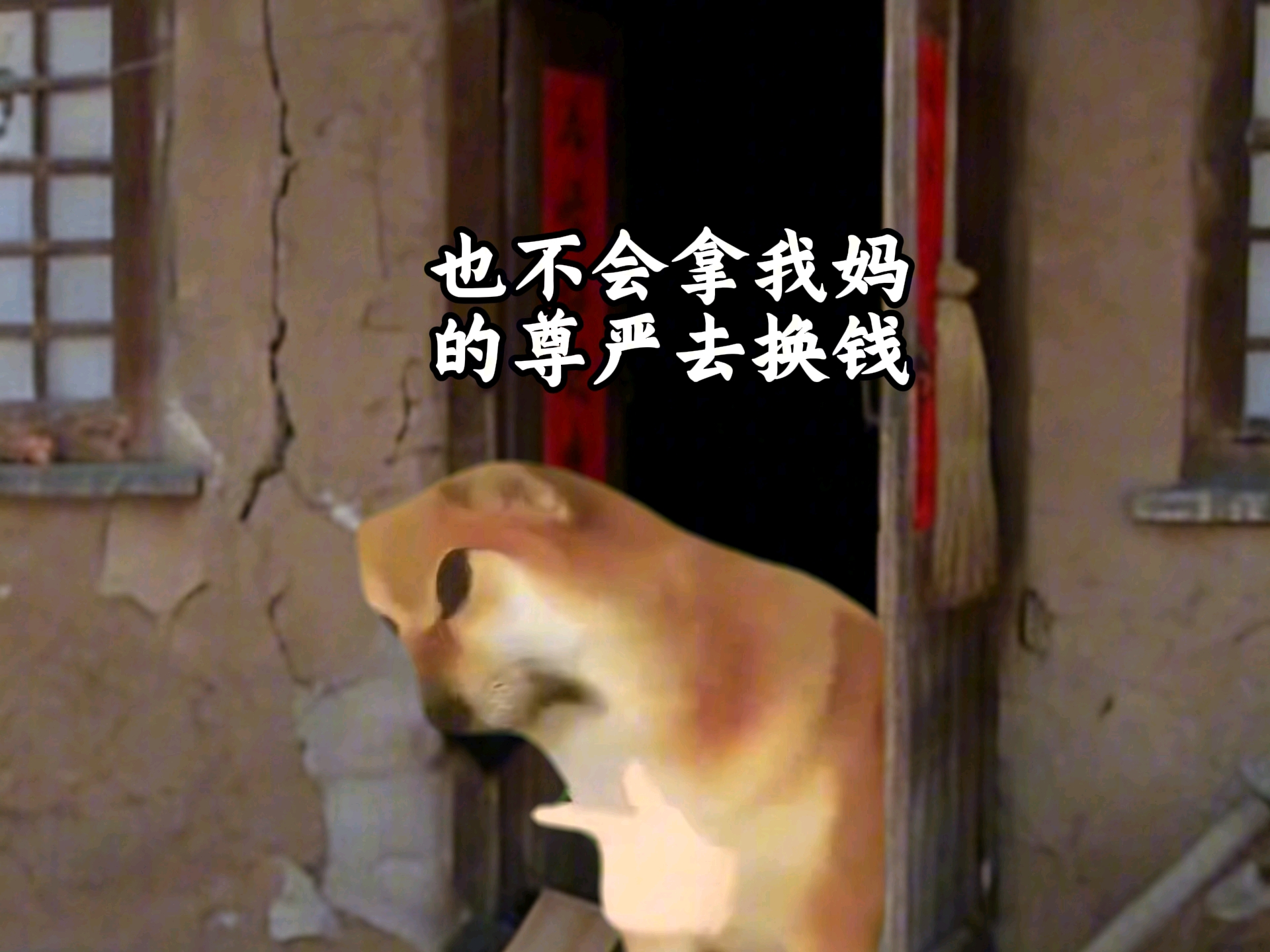 这才是真正的爷们