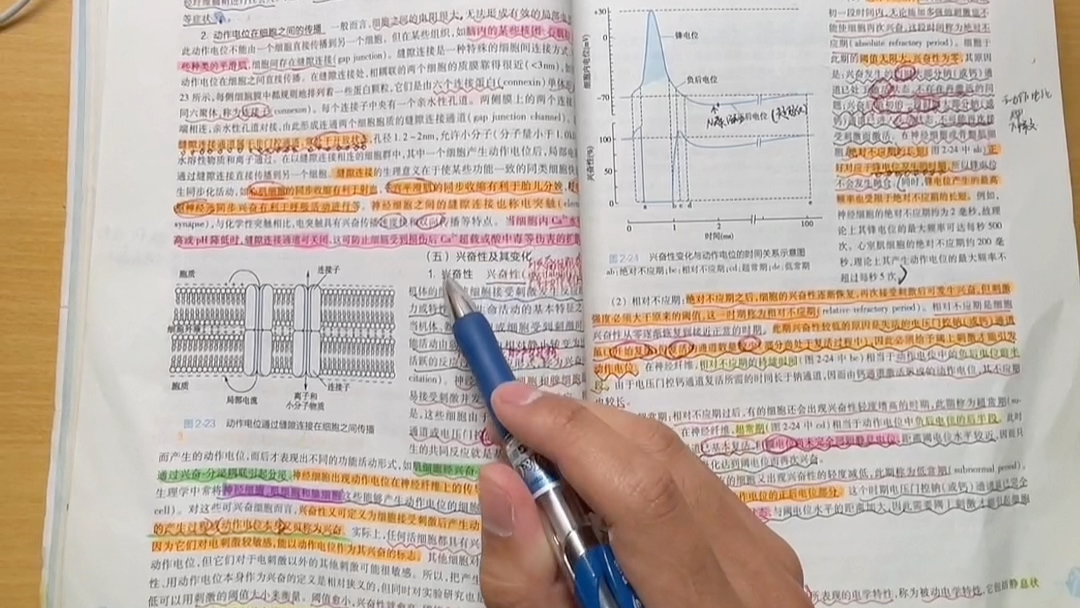 [图]404分上岸上交医学院～西综复习如何看课本（上）生理