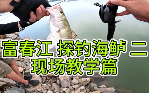 富春江探钓海鲈二 现场教学篇