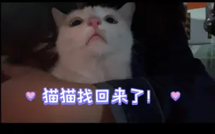 Download Video: 丢失半个月的小猫咪终于找回来了！！！                               花花：听说你到处跟别人说我死了？！！