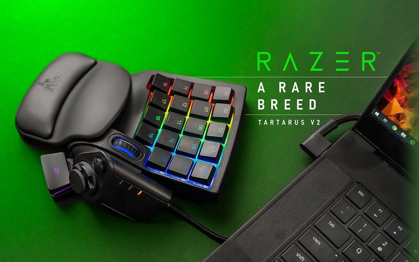 雷蛇塔洛斯魔蝎v2开箱完美还是毫无意义的