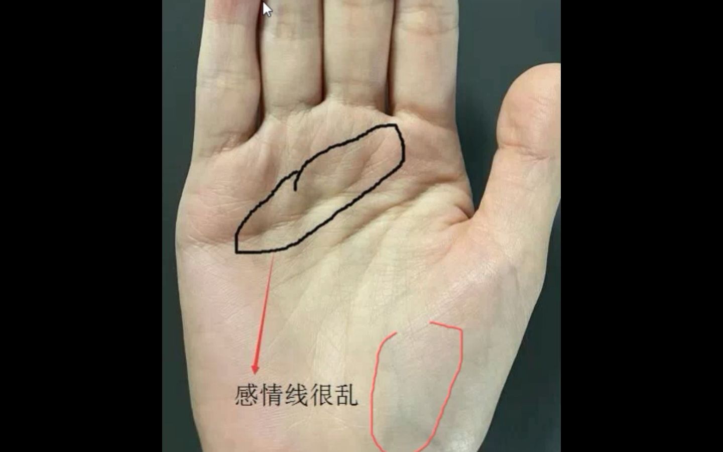 手相看运势手相告诉你灾难的预兆