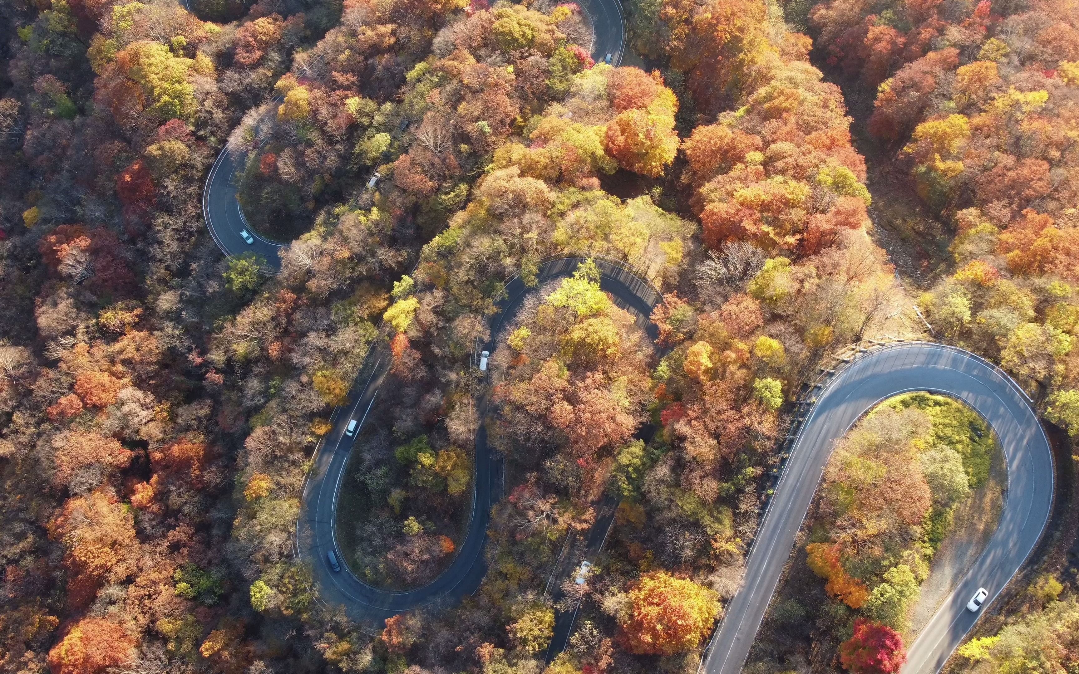 日光伊吕波坂红叶季节空拍_哔哩哔哩_bilibili
