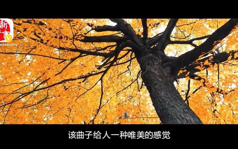 [图]经典轻音乐《A comme amour》