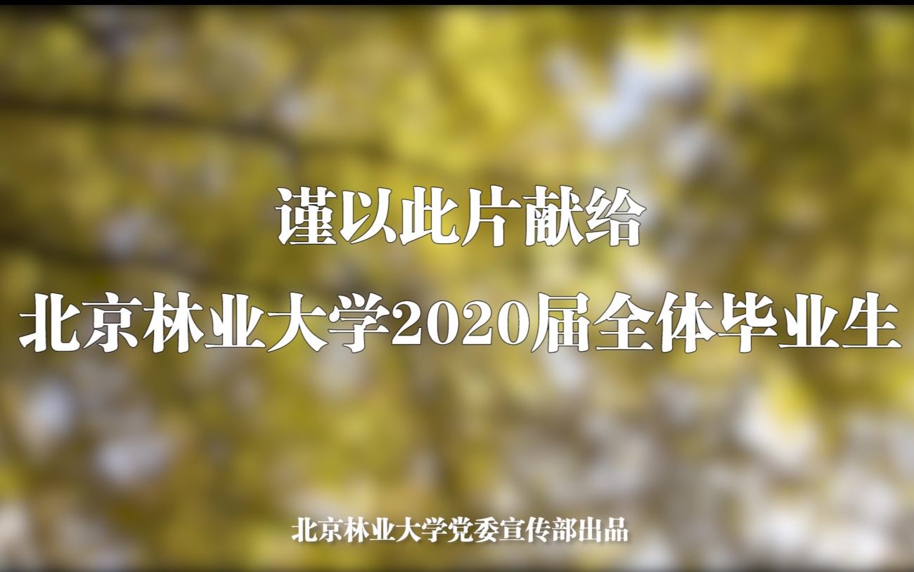 北林2020届毕业季校园原创歌曲《林ⷥ䕦œ》哔哩哔哩bilibili