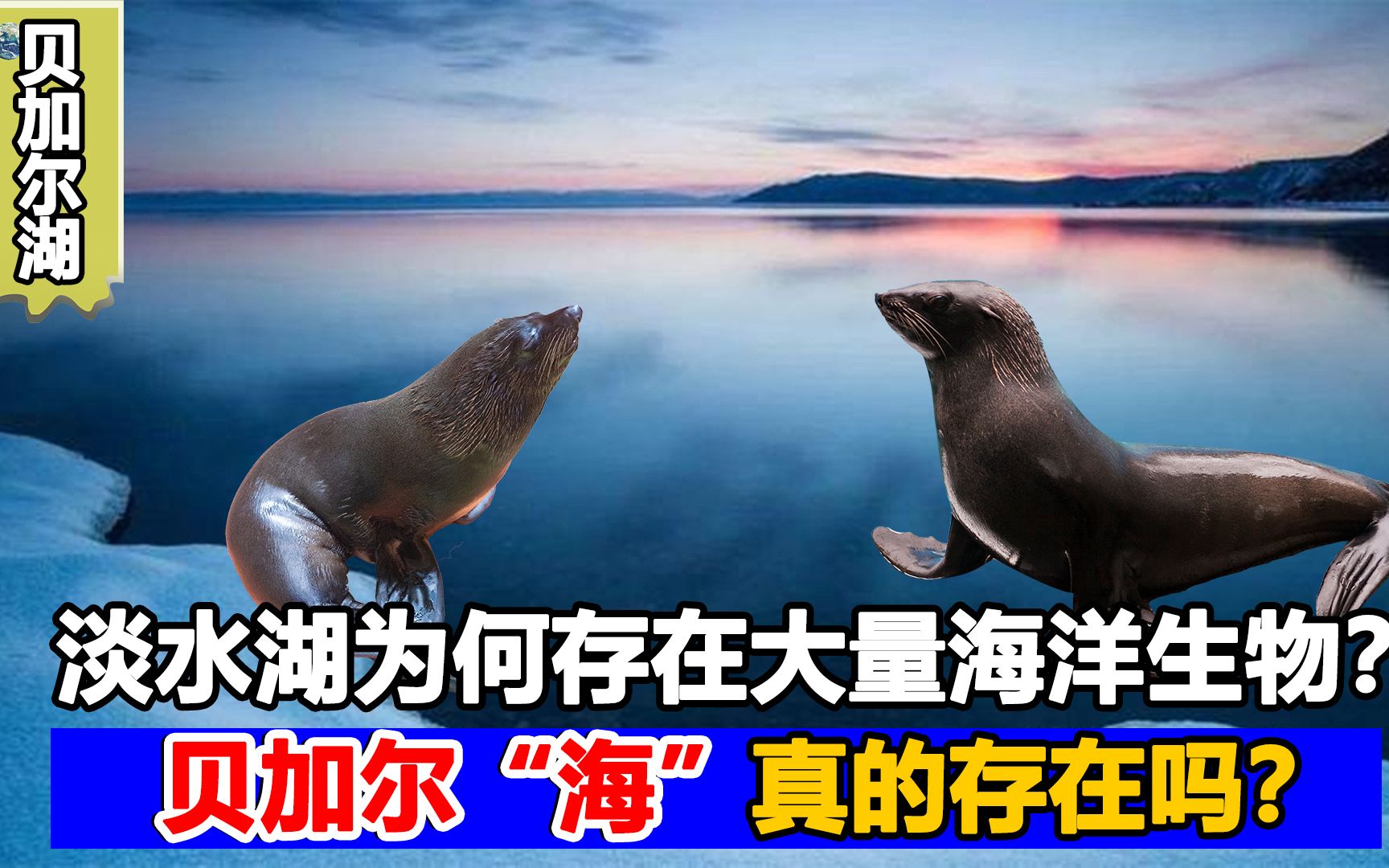 贝加尔湖为什么有海洋生物?曾是中国领土,为何被质疑来路不明?哔哩哔哩bilibili