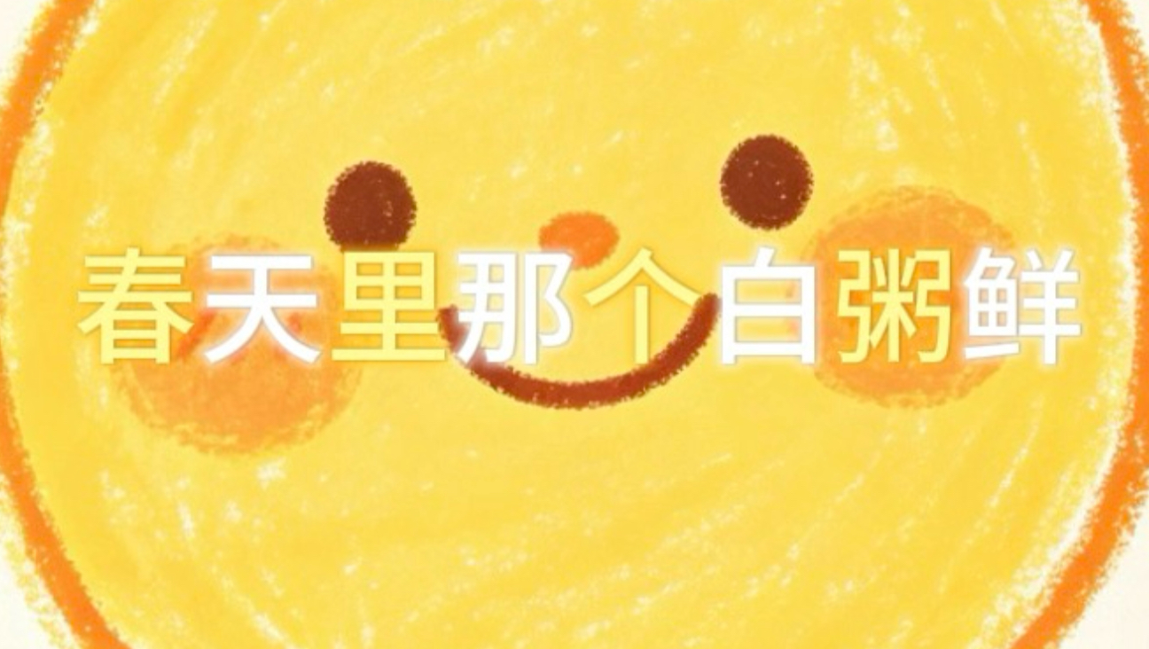 【顺顺儿歌】太阳出来我赶飞马（DJ版）