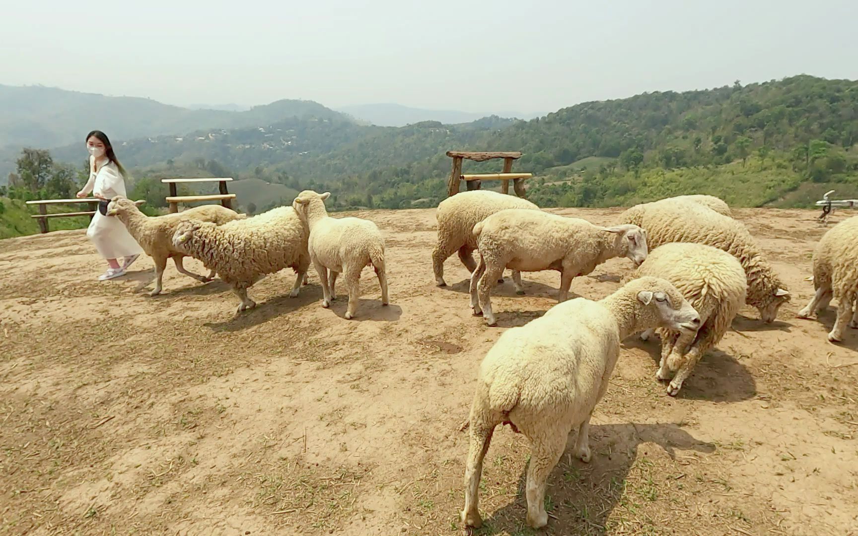 泰国北部清莱府必访小众景点旅游攻略哔哩哔哩bilibili