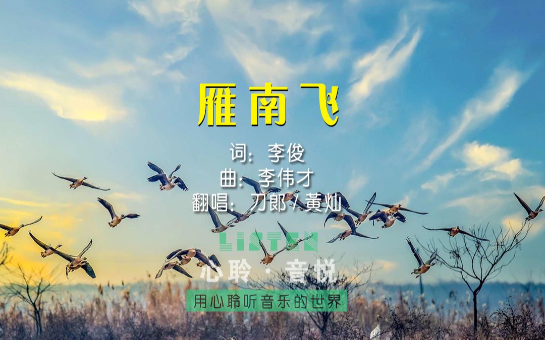 刀郎黄灿翻唱经典歌曲《雁南飞》完整版,电影《归心似箭》插曲,全曲以忠贞不二的大雁为基调展开,在飞与归的思绪中,坦露恋人离别时心欲碎的情景使...