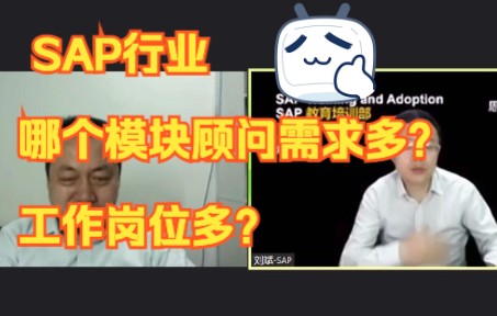 SAP行业哪个模块顾问需求多,工作岗位多?哔哩哔哩bilibili