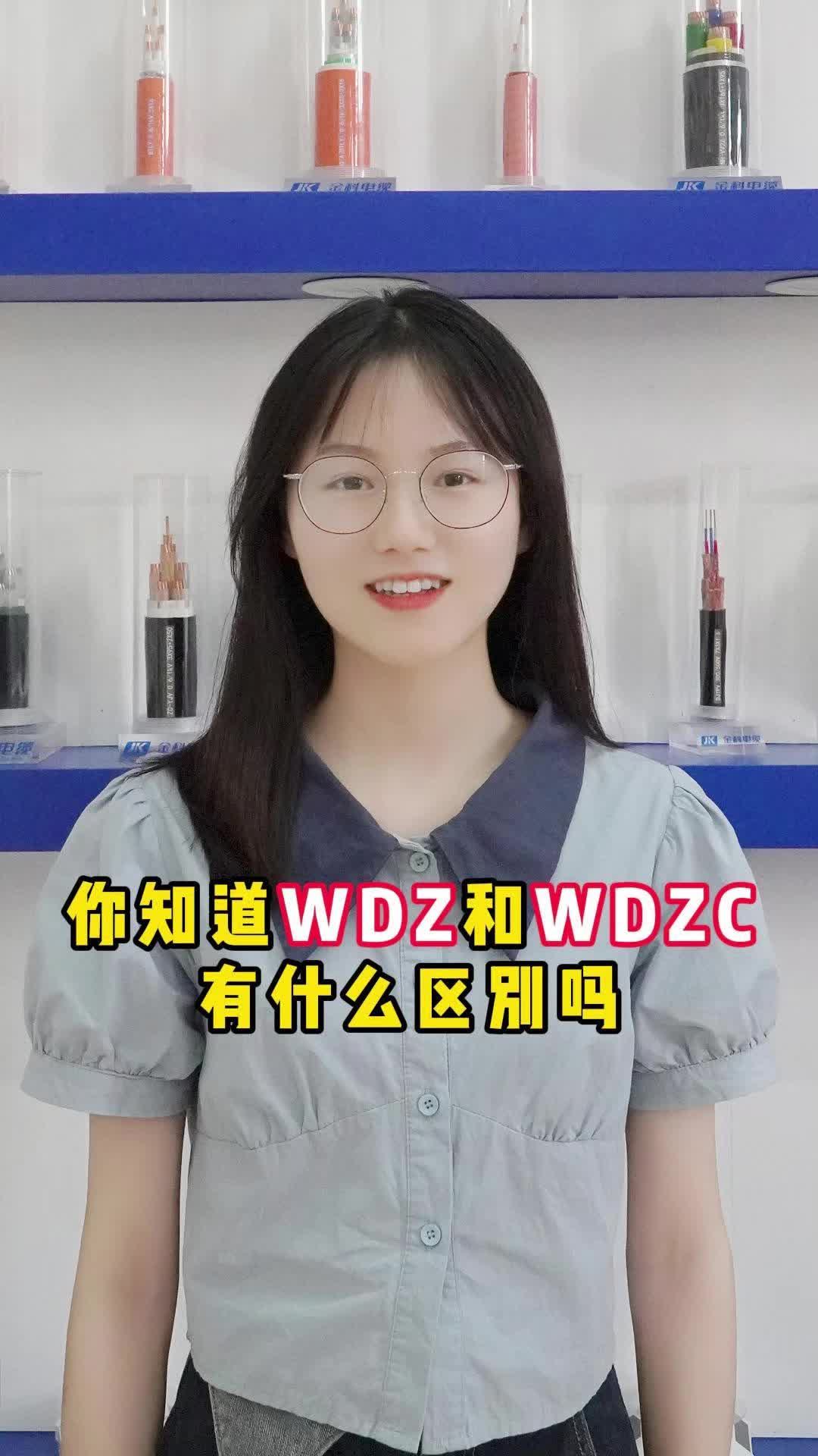 你知道WDZ和WDZC有什么区别吗?哔哩哔哩bilibili