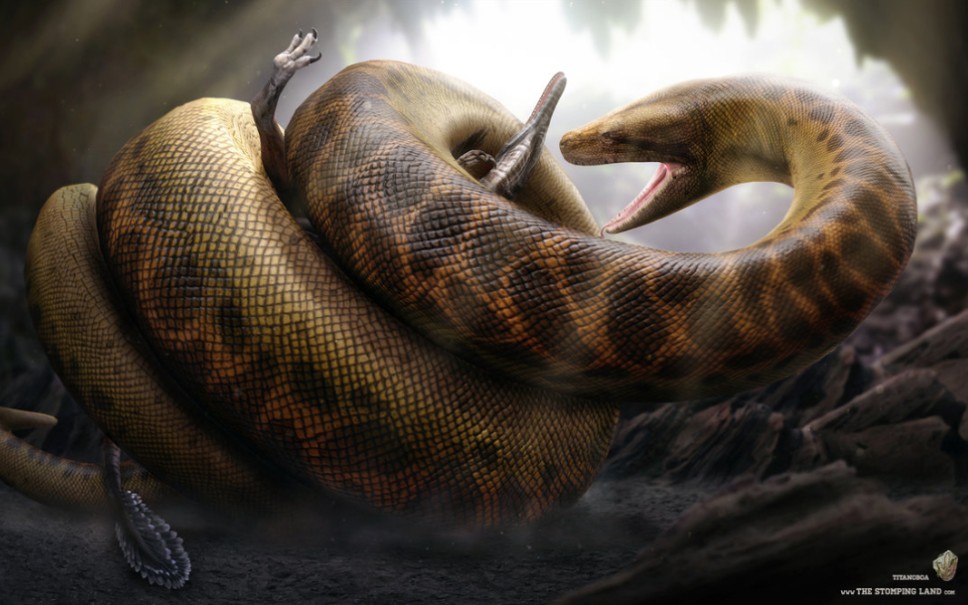 com15分钟15秒《远古入侵;新世界》——雷蝎资源目录列表